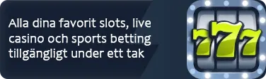 Spelutbud med slots, live casino och sports betting hos Winzter Casino